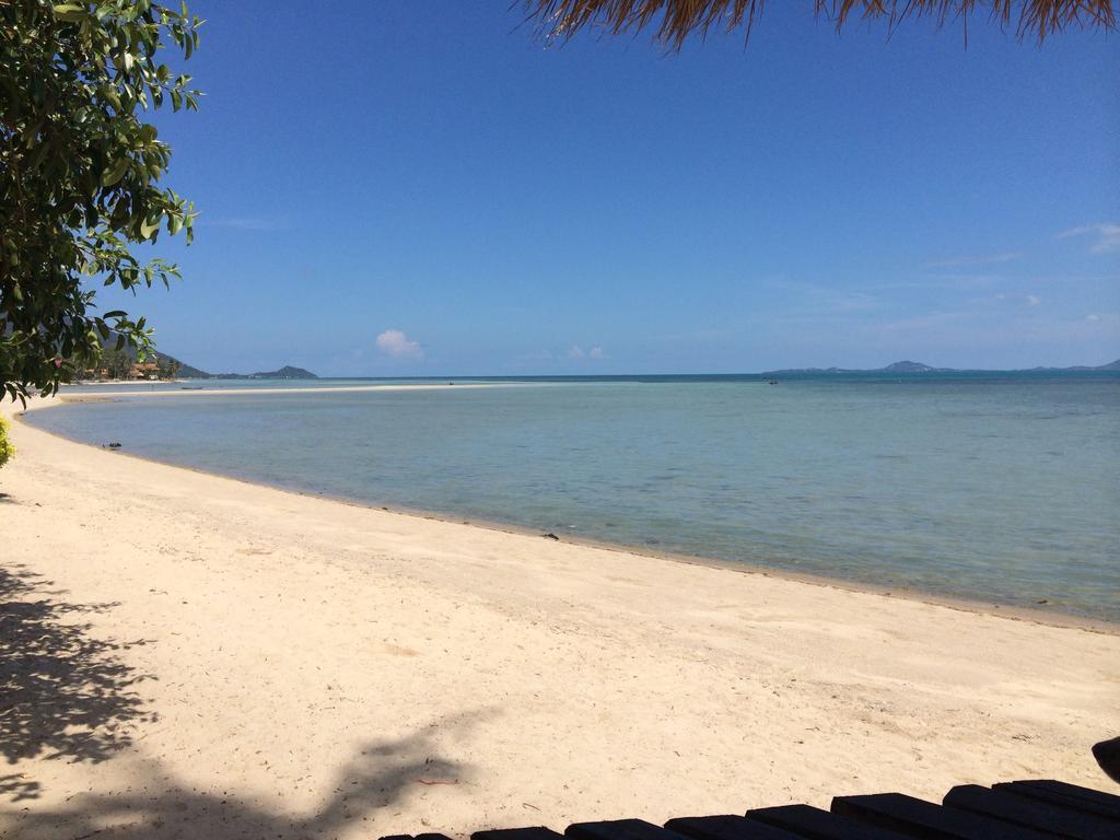 The Blue Parrot Hotel Ko Pha Ngan Esterno foto