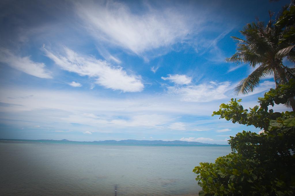 The Blue Parrot Hotel Ko Pha Ngan Esterno foto